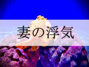 妻の浮気